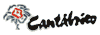 Cantábrico Tours